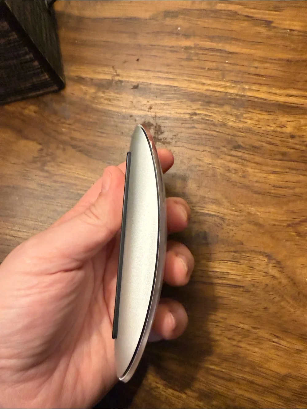 Apple Magic Mouse in Silver with Black Accents